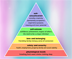 0_0_0_0_370_308_csupload_52703375